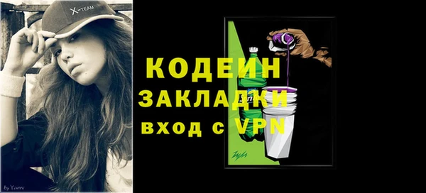 индика Михайлов