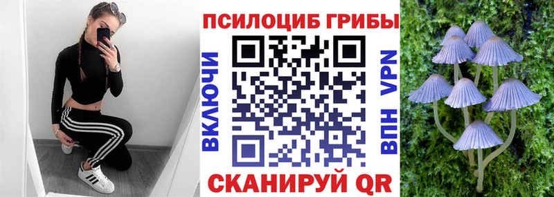 где продают наркотики  Электрогорск  mega сайт  Псилоцибиновые грибы Cubensis 